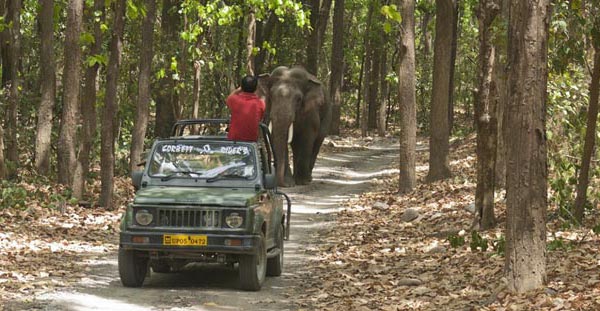 Jim Corbett